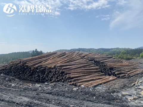 河道打樁為什么選擇松木樁來處理軟地基？-松木樁施工使用范圍